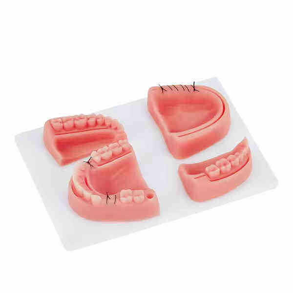 The Dental Silicone 3D Suture Pad Model.