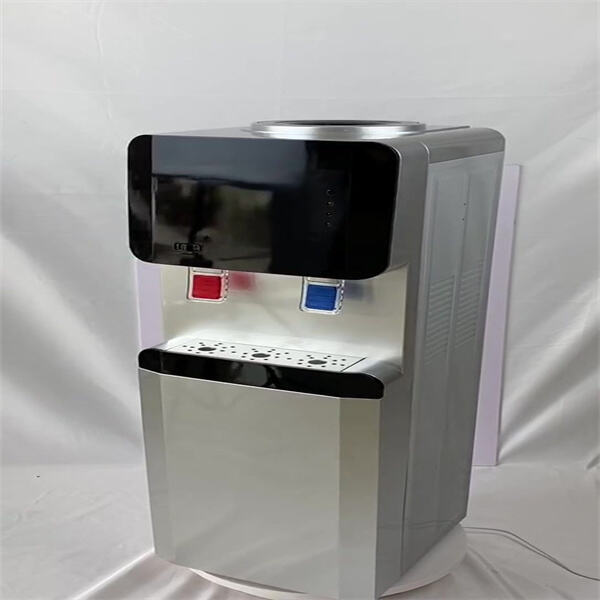 Experience the Benefits of a Water Dispenser with a Water Line
