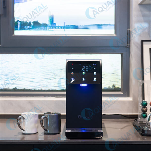 Upgrade your kitchen with a stylish and efficient hot and cold water filter