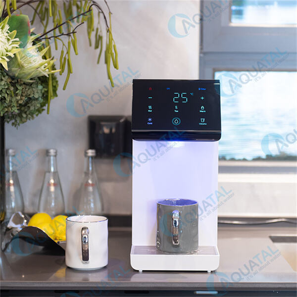 Eco-Friendly Option for Sustainable Businesses