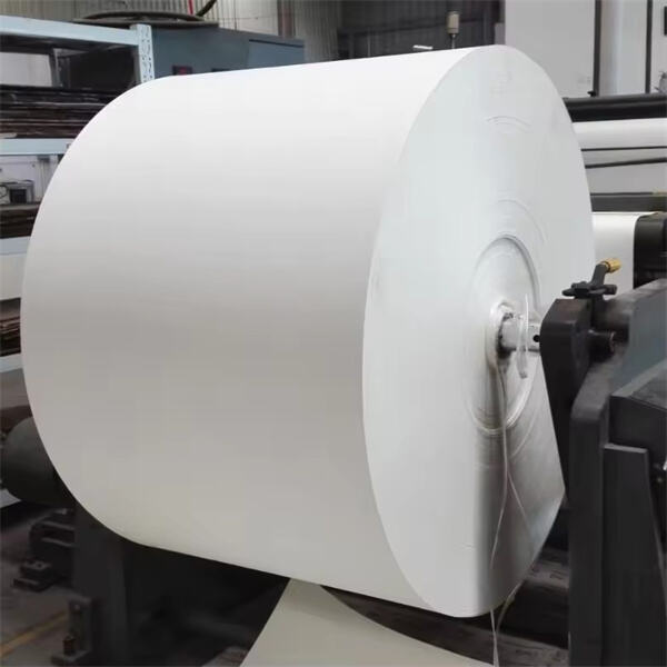 The role of raw materials in creating durable and leak-proof paper cups