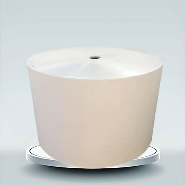 Advancing Packaging Technology with PLA Coated Paper