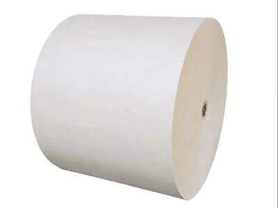 PE Coated Paper Roll Manufacturing Trends in Qatar