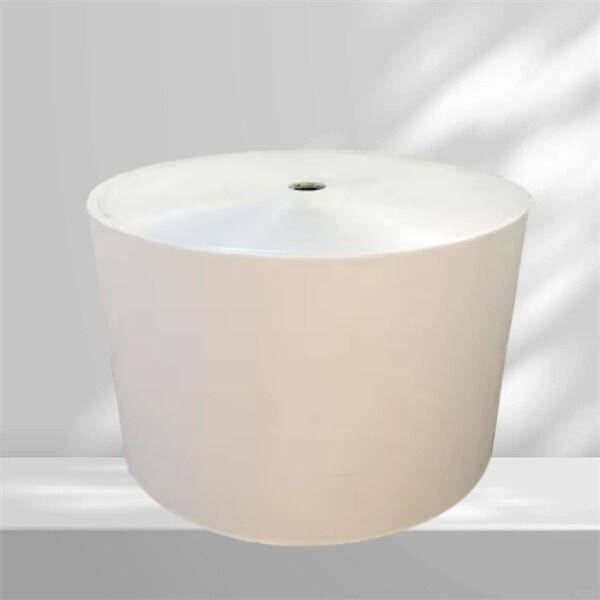 Biodegradable and Eco-Friendly PE Paper Roll for Sustainable Packaging Solutions