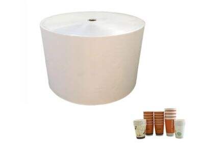 Coffee Cup Paper Roll Suppliers in Bahrain