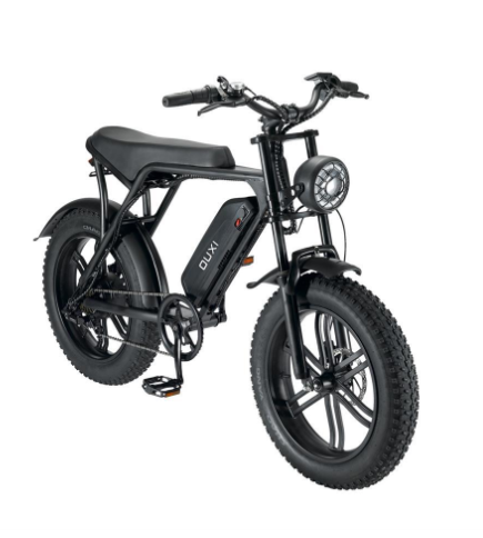Long-Distance Heroes: Range-Extended Electric Bicycles