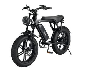 Fashionable and stylish urban transport: Ouxi e-Bikes.