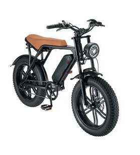 Long-Distance Heroes: Range-Extended Electric Bicycles