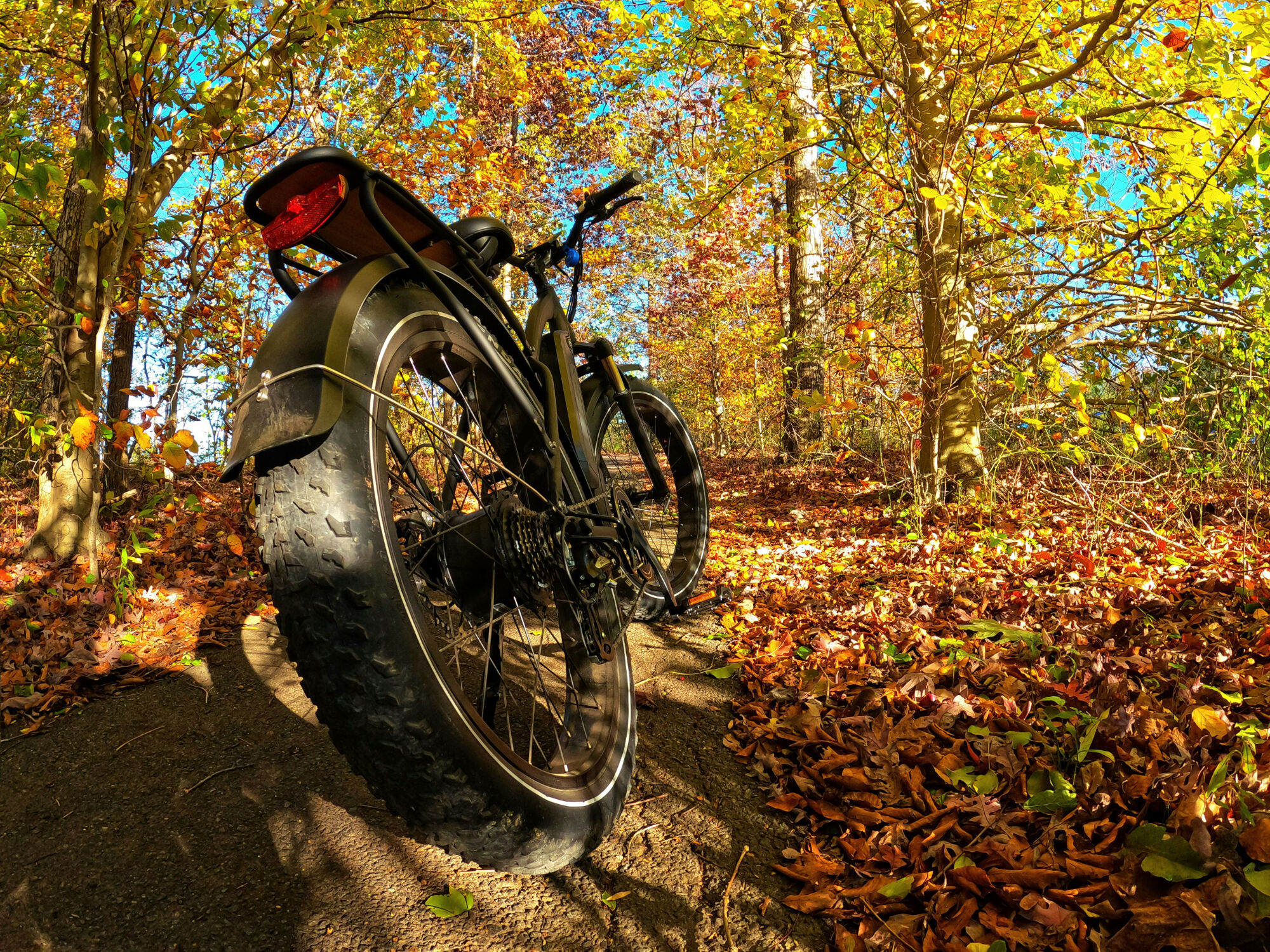 Advanced Features of the Fat Bike Ouxi 250W