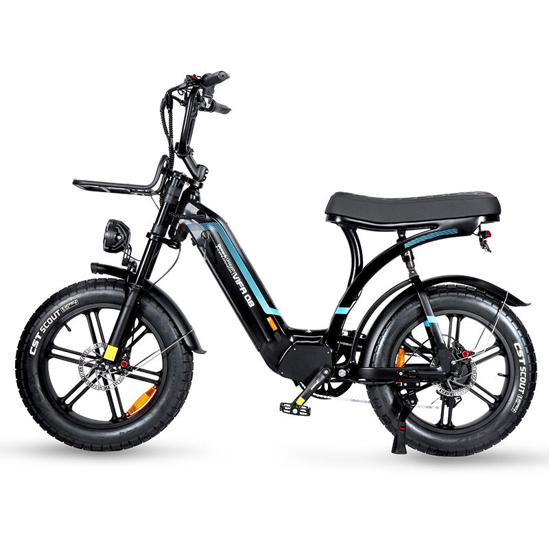 Q8 Electric Bike with Pedal Assist System Urban Commuter's Dream