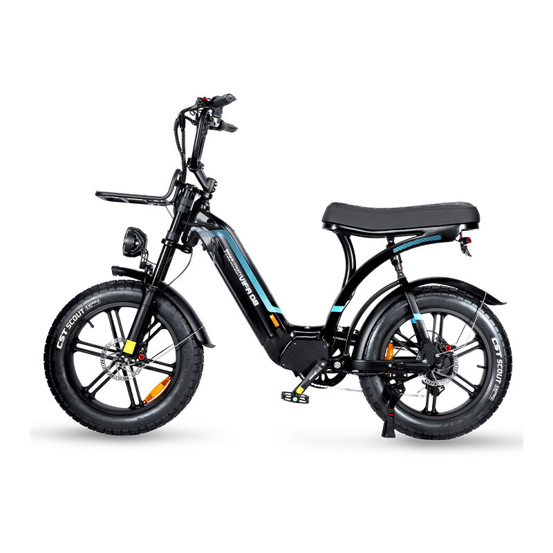 Q8 Electric Bike with Pedal Assist System Urban Commuter's Dream