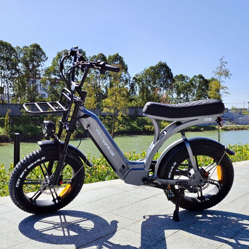 Q8 Electric Bike with Pedal Assist System Urban Commuter's Dream details