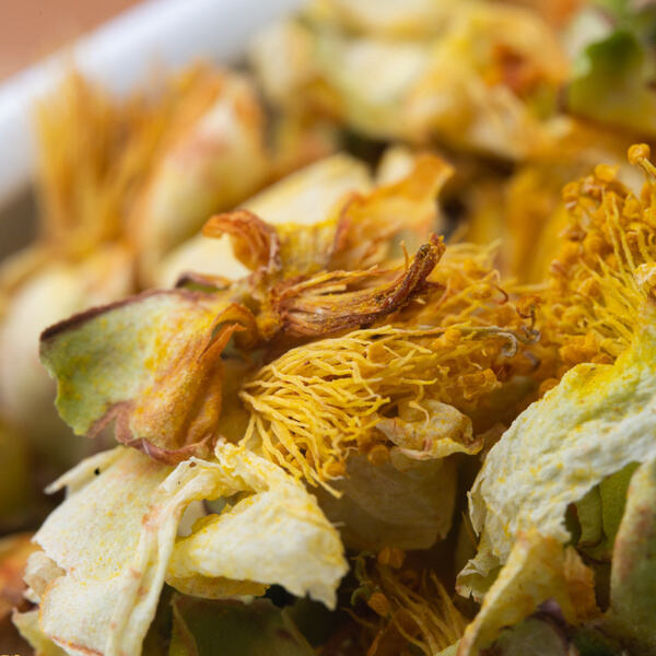 Organic Dried Camellia Teainterprets Goodness in the Most Authentic Way Possible