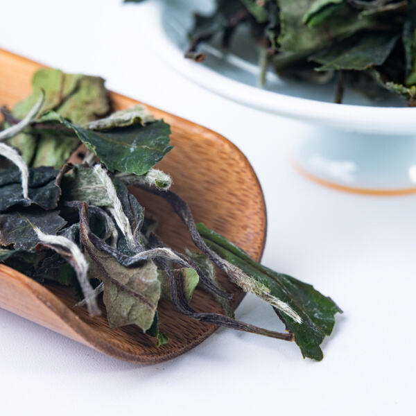 Advantages of White Tea Leaves