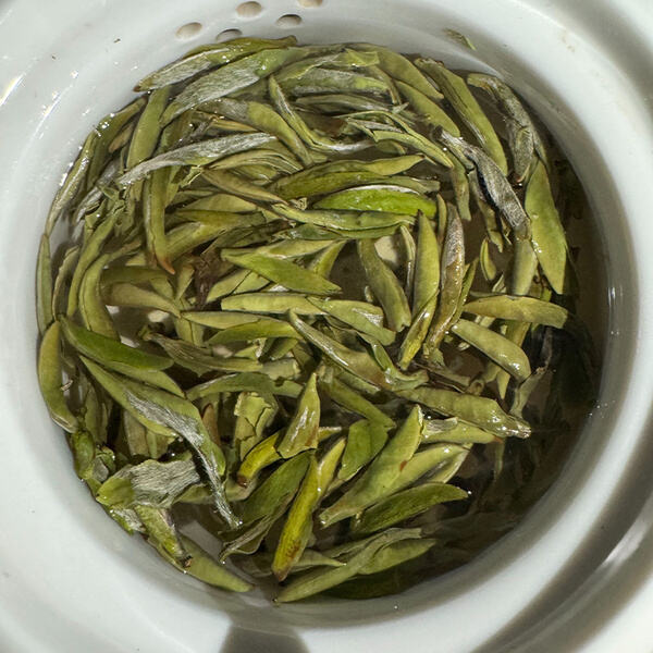 How to Brew Silver Needle Tea