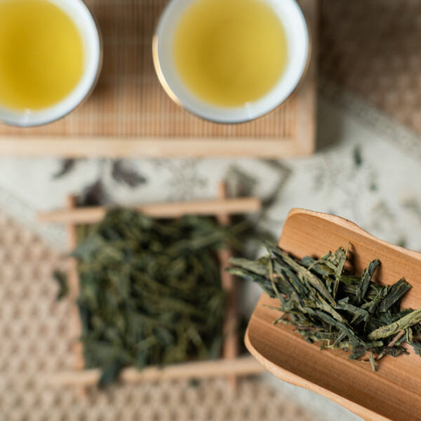 Use of Sencha Green Tea