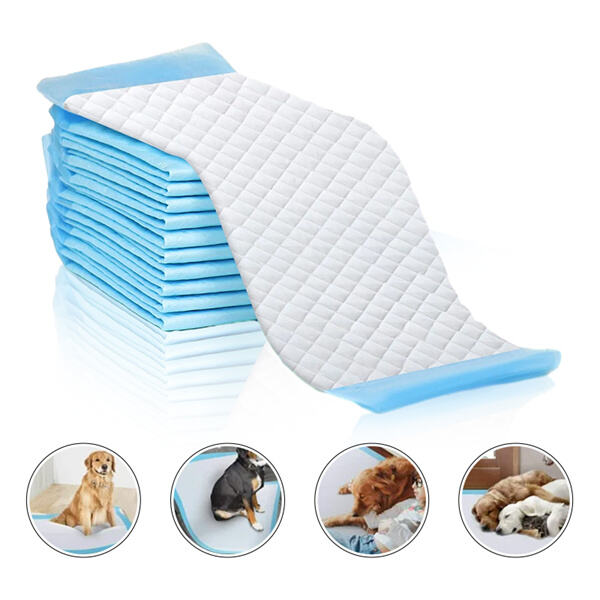 Say goodbye to messy cleanups with pet pads