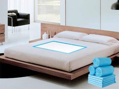 大人用ケアを超えて：多様な衛生製品ポートフォリオの探求