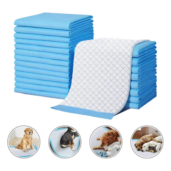 Great for training puppies and senior dogs