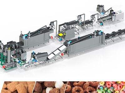 What Makes a Good Dry Dog Food Extruder for B2B Buyers?