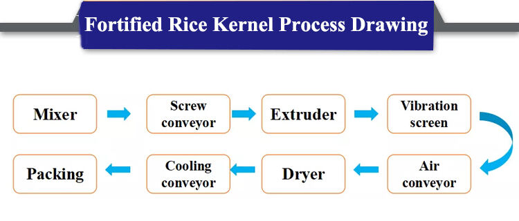 fortified rice processing line