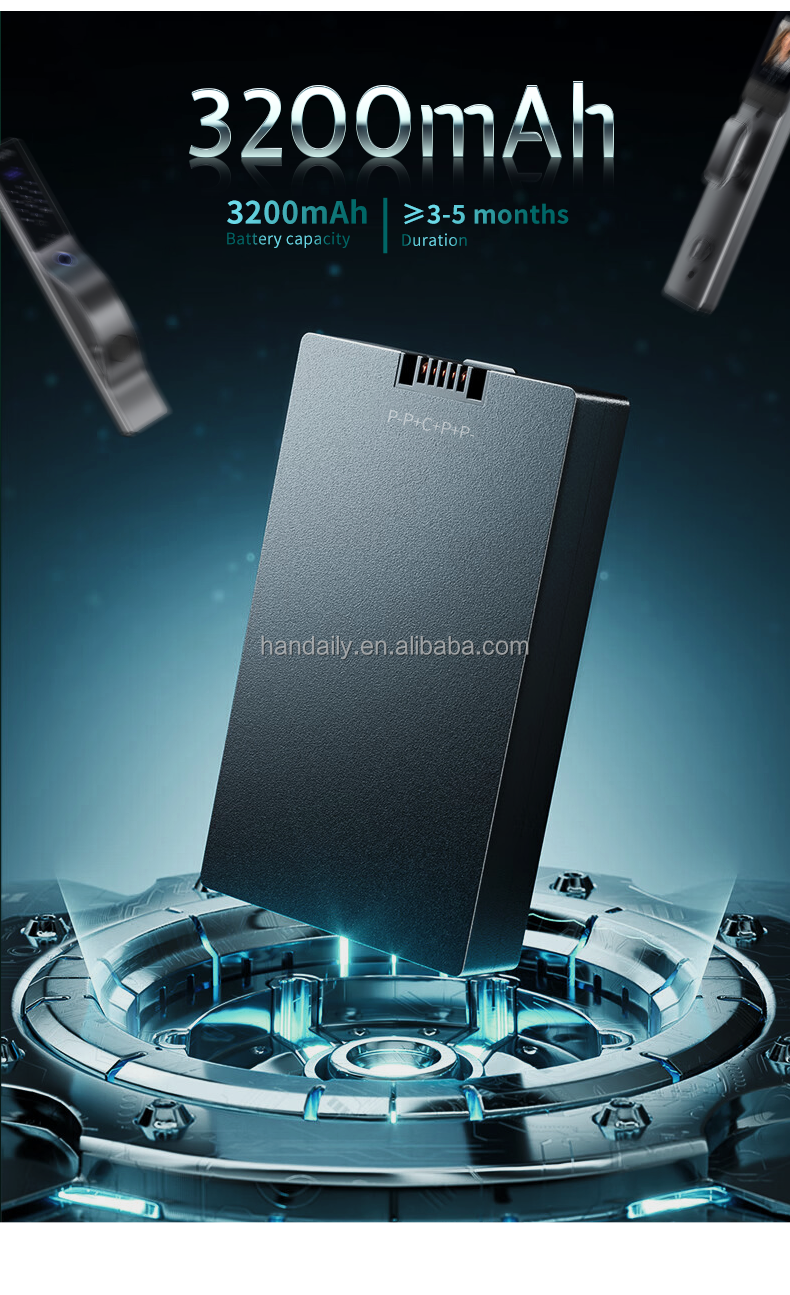 new automatic electronic digital lock cerradura inteligente wifi app fingerprint card 3d face recognition smart door lock df17-10