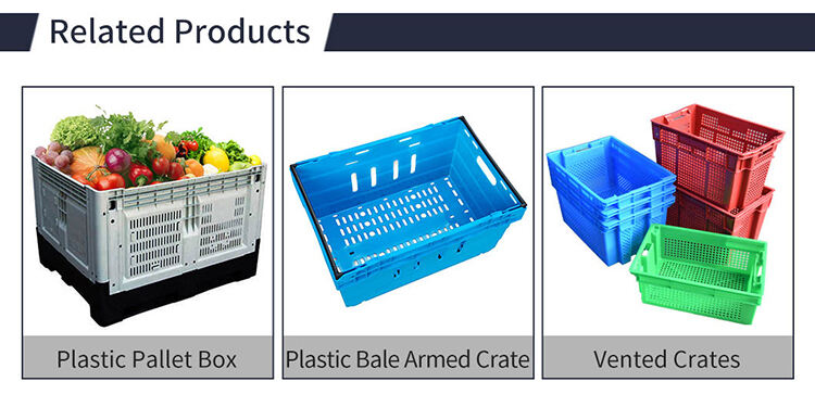 heavy duty hdpe hygiene food grade mesh grid vented stackable plastic pallet bin for vegetable and fruits manufacture