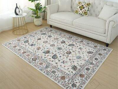 Hot Sale Reason of Raschel Embossed Carpets