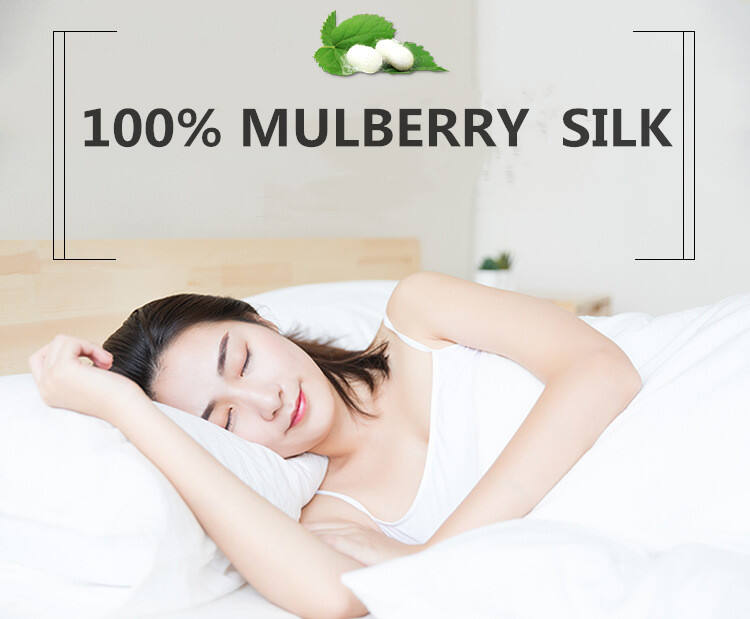 Luxury Pure Mulberry Silk Pillowcase 100% Satin Silk Pillow Case Knitted Plain Pillow Covers Customized Color manufacture