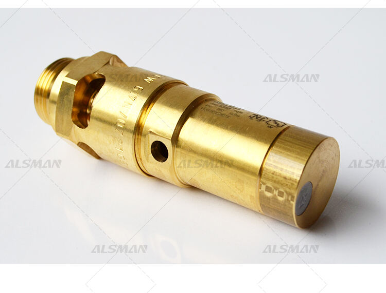 Liutech 1837006306 Brass Safety Valve For Air Compressor supplier