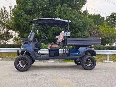 What Should You Look for When Buying an Electric Golf Cart? A Complete Guide