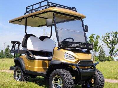 Golf Car Customization Guide: From Color to Comfort Features