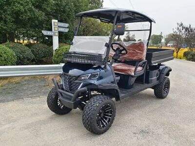 Where can the Electric Golf Carts be Used?