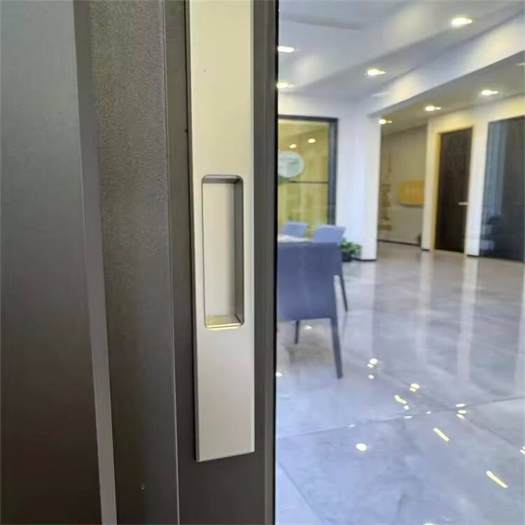 Personalized Double Reinforced Glass Quiet gliding Aluminum Door4_副本
