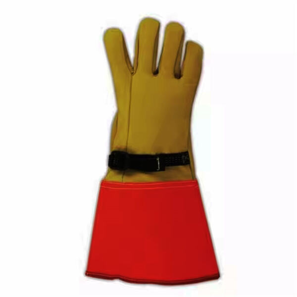 What you need to know before buying