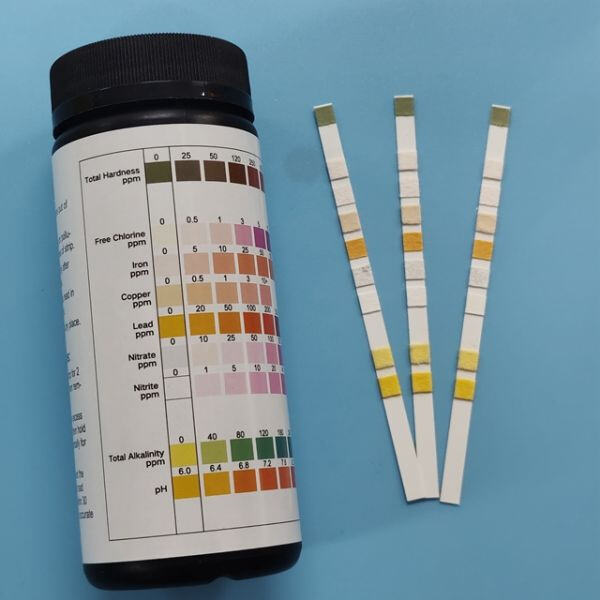 Using Pool Test Strips