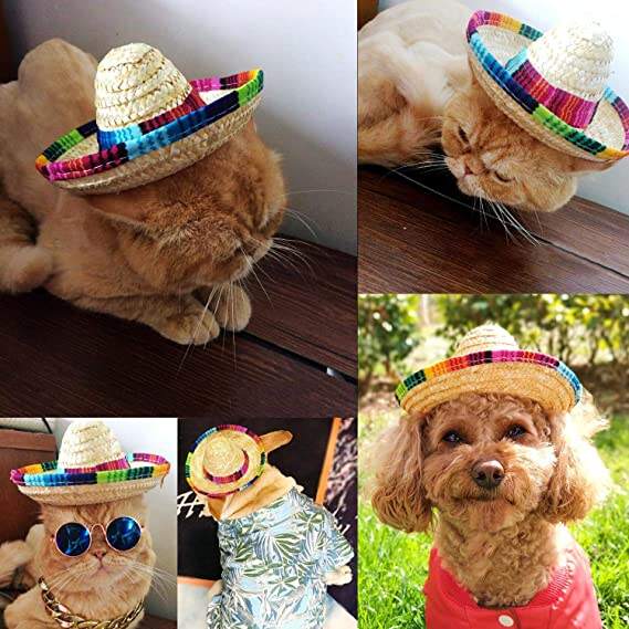 Dog Sombrero Hat, Mini Straw Sombrero Hats Mexican Hats Sombrero Party Hats for Small Pets/Puppy/Cat factory