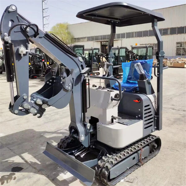 Părți ale excavațoruluiCu funcțiile lor