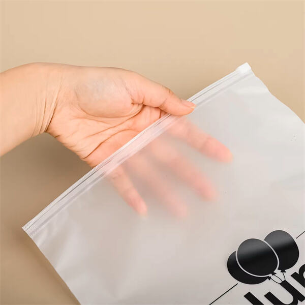 Zipper Bag Plastic for Everyday Use