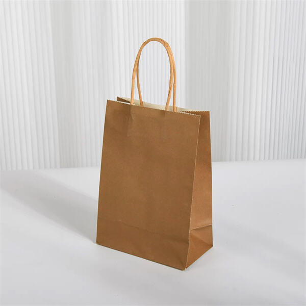 Multipurpose Kraft Paper Bags with Handle for Everyday Use.