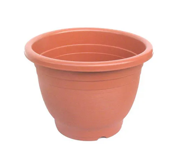 Flower Pot