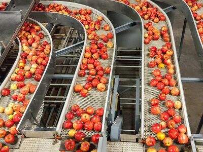 How Conveyor Belt for Food Industry Handles Product Flow