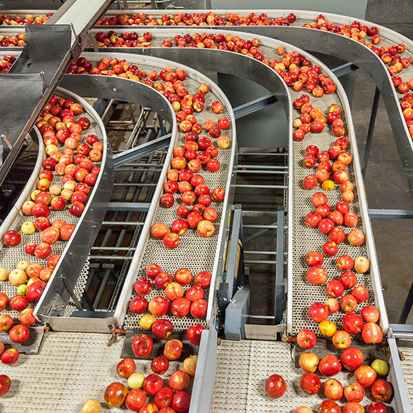 Use and Application of Conveyor Belts in The Food Industry