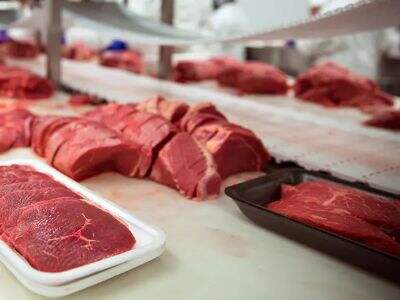 What Makes a Conveyor Belt for Food Industry Different