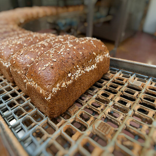Innovations in Conveyor Food: