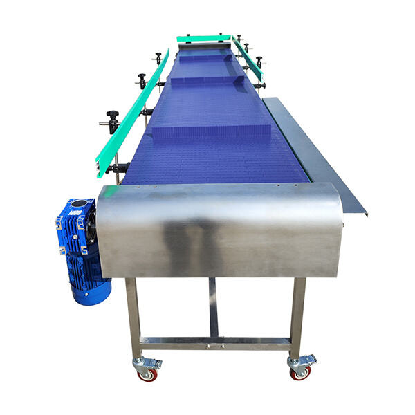 Innovation in Food Conveyor