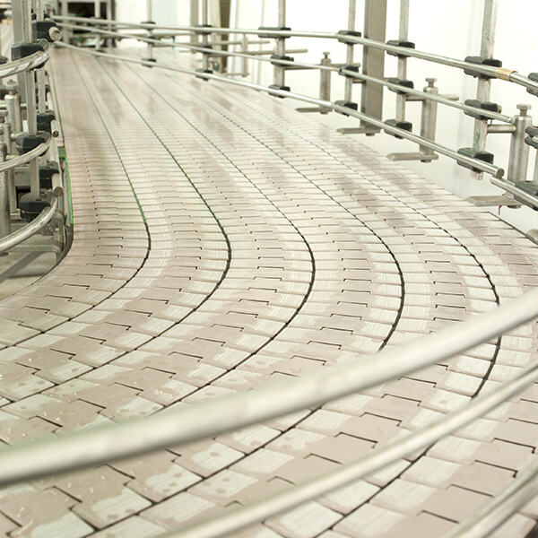 Safety Measures in Conveyor Food: