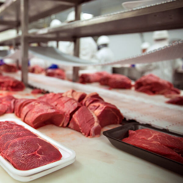 How to Use Conveyor Food: