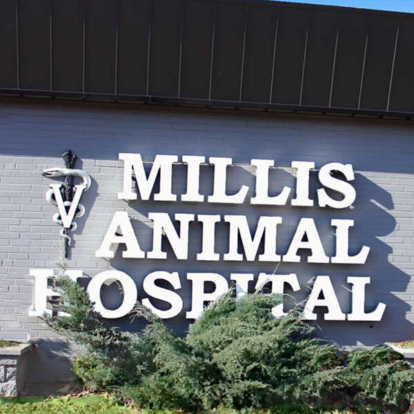 A Variety of Materials and Designs for Custom Exterior Building Letters