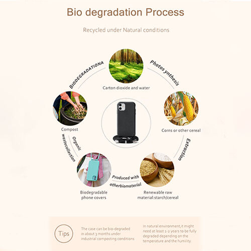 How will the use of Biodegradable Mobile Phone Protective Cases Benefit the Market?